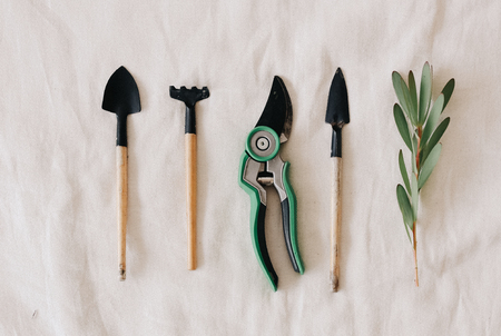 tool for decorating flowers on a white backgroundの写真素材