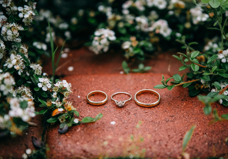 beautiful gold rings lie against a background of white flowers on a bushの写真素材