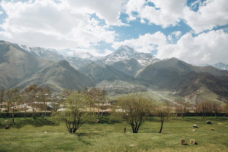 garden in the city at the foot of high mountains with snow in summerの写真素材