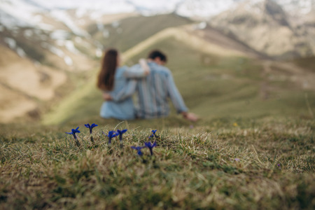 mountain flowers blue Pulsatilla on a hill with a loving couple in the mountains in summerの写真素材