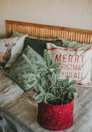 Rustic room decoration for Christmas parties with gift boxes and pine needles green brown beigeの写真素材