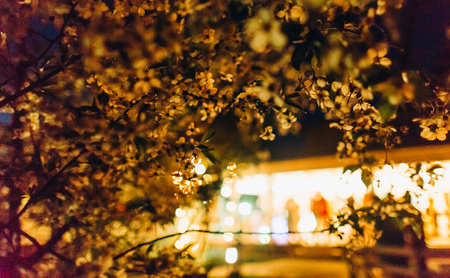 party night outside in the garden terrace people light flowersの写真素材