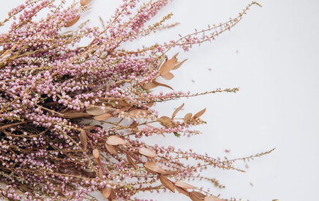 lilac flowers as a gift to a woman on a textured background postcard under the inscription minimalismの写真素材