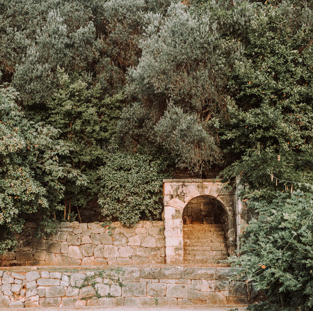 design and decor vegetation landscape walls and stone buildings
