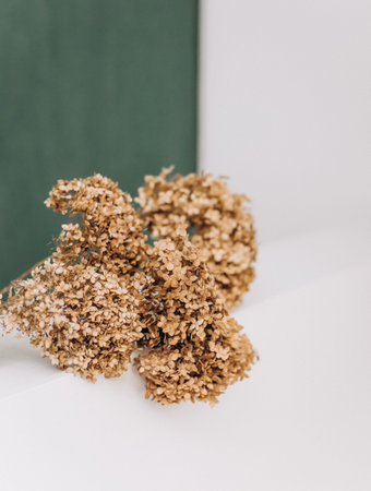 beautiful bouquet of hydrangea flowers on a table on a white backgroundの写真素材
