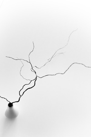 twisted spiral branches in the decoration with a vase design on a black white backgroundの写真素材