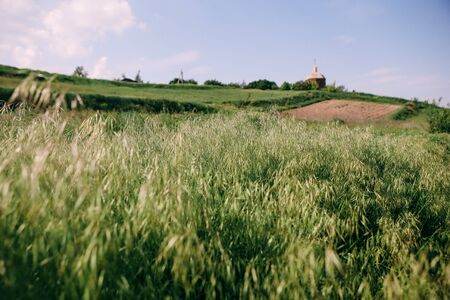 field overgrown with grass and a winding dirt road on a sunny dayの写真素材