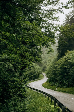 winding road in the mountains with vegetation no people