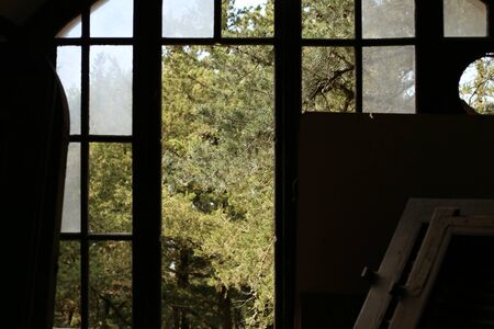 old door open overlooking nature plants trees ecological terrainの写真素材