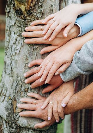 hands couples three generations family tree conceptual youth old age father mother grandfather grandmotherの写真素材