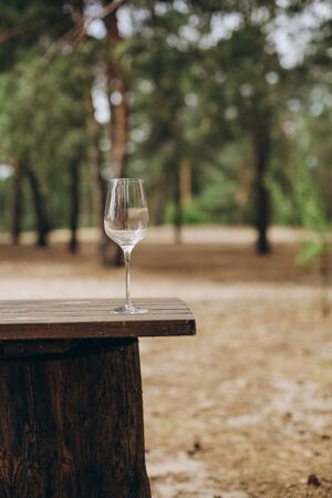 glass of wine on the table fun outside in the garden nature ecology lifestyle forestの写真素材