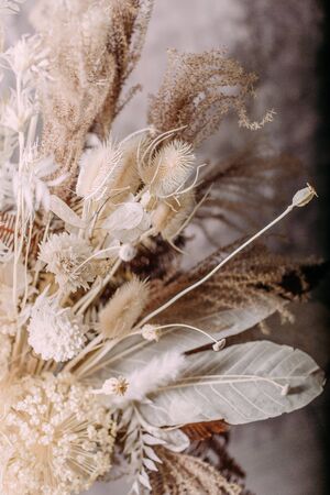 dead wood leaves feathers luxury decor floristry for the event on a gray backgroundの写真素材