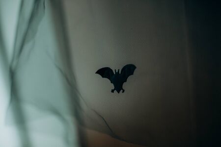 bat black wings white sheet halloween mystic witch Astrology Occult Magic spider webの写真素材