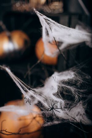 spider lair darkness cave halloween mystic Astrology Occult Magic webの写真素材