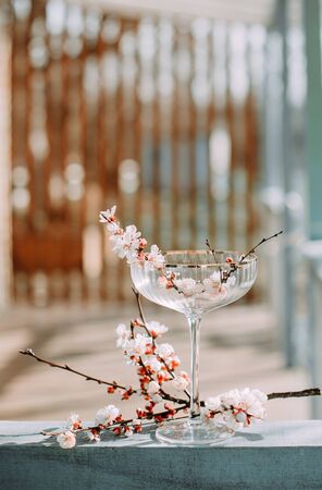 spring season flowering garden branches growth life bloom budの写真素材