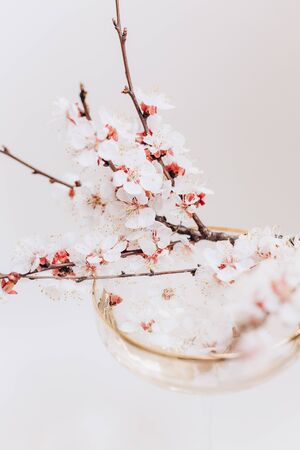 spring season flowering garden branches growth life bloom budの写真素材