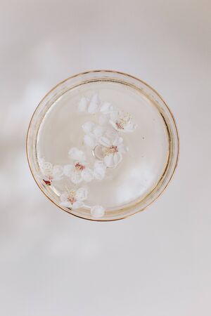 spring season flowering garden branches growth life bloom budの写真素材