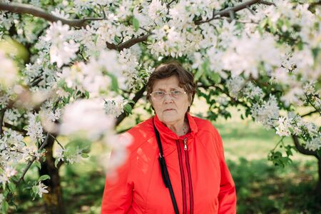 elderly woman in a bright red jacket and glasses for vision outside a park flowering treesの写真素材