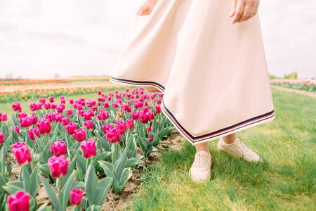 woman holiday day go along the alley tulips flowers outsideの写真素材