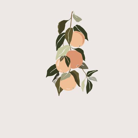 Orange tree branch vertical vector illustration top centerのイラスト素材