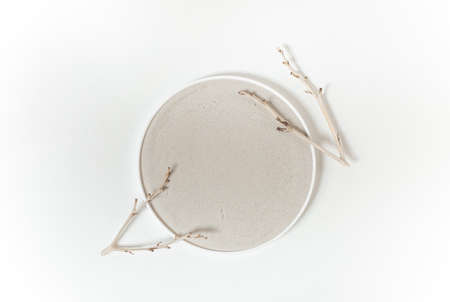 round mirror and dry branches on a white background with a place for an inscriptionの写真素材