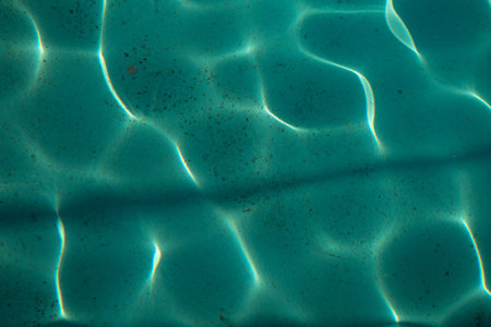 clear water in the pool with a shine from the rays of the sun