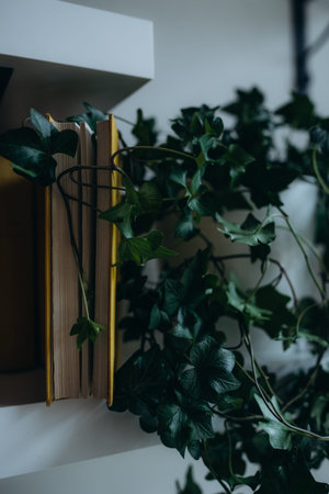 indoor plants green leaves comfort decor health climate