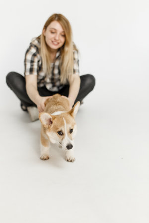 woman with a pet corgi dog plays and teaches furry friend commands inside the houseの写真素材