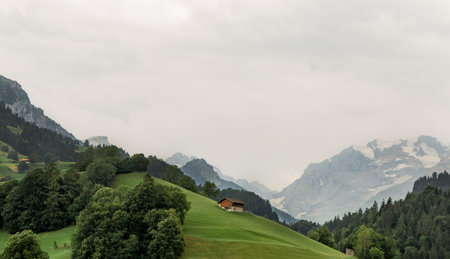 mountains and green meadows of switzerland reserve and ecology nature