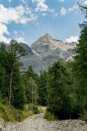 mountains and green meadows of switzerland reserve and ecology nature