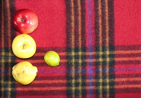 Autumn still life with some fruit on a warm red checked plaidの写真素材