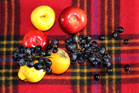 Autumn still life with some fruit on a warm red checked plaidの写真素材