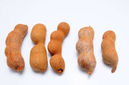 tamarindの写真素材