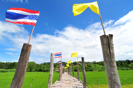 Bamboo bridge
