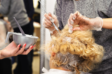 Beauty salon. Hairdresser dye  hair of female clientの写真素材