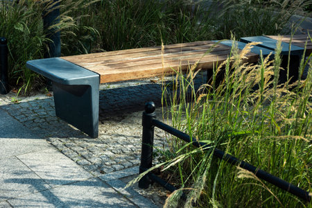 The modern bench on a cobblestone in the middle of tall grass.の写真素材