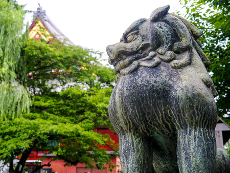 Sensoji Temple Bo the dogのeditorial素材