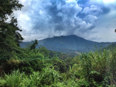 Doi Luang National Park Phayao Thailandの素材