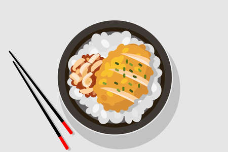 Japanese Oriental Cusine; Rice with teriyaki chicken grilled and chiken katsu vector illustrationのイラスト素材