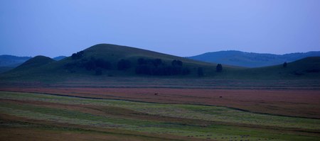 grasslandの写真素材
