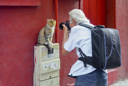 Cat photographer photographers group members, Photographer Cat model study.
Istanbul, Turkey.のeditorial素材