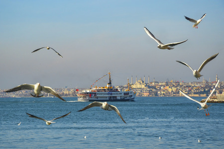 Istanbul, Turkey - February 2, 2014: Icon is one of the ferries in Istanbul.のeditorial素材