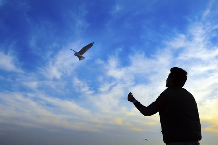 Sea of ??Marmara, the Bosphorus in the evening. sunset, seagulls and peopleの写真素材