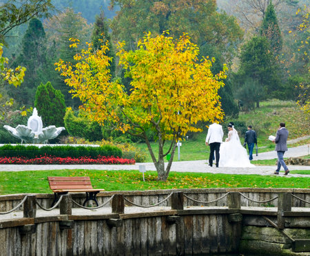 Istanbul, Turkey - November 3, 2013: In the autumn the bride and groomit was found in a wooded area.のeditorial素材