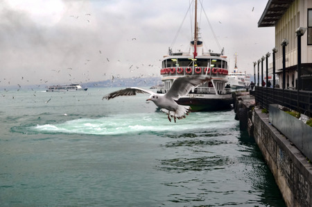 Istanbul, Turkey - December 22, 2012: Ferries in ?stanbul.boats has traversed the waters of the Bosphorus for millennia and until the opening of the first Bosphorus bridge in 1973 were the only mode of transport between the European and Asian halves of Isのeditorial素材