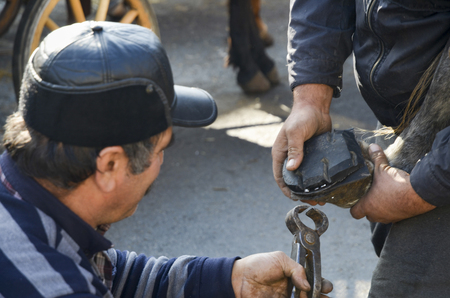 Istanbul, Turkey - December 18, 2013: Farrier. Horse's hoof nailing on shoes. Nail care of the horses phaeton car on Buyukada and master farrier who shoe. A farrier is a specialist in equine hoof care, including the trimming and balancing of horses' hooveのeditorial素材