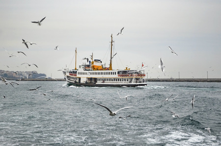 Istanbul Strait, ferry and seagulls. Gulls to feed the passion of ferry passengers.の写真素材