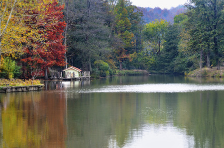 Autumnal scene with yellow, orange and red leaves on trees. One of its main features is the shedding of leaves from deciduous trees. Atatürk Arboretum is an arboretum in Bahçeköy, Sar?yer, Istanbul Province, Turkey.の写真素材