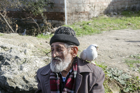 Istanbul, Turkey - January 01, 2015: White Bearded Grandfather and Pigeons friendly. Istanbul Topkapi bird markets, bird seller grandfather, was seen with pigeon on shoulder.のeditorial素材