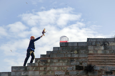 Istanbul, Turkey - January 01, 2015: Outdoor Bird Market in Istanbul. Topkapi Edirnekapi bird market every week on Saturdays and Sundays open market. Day 1000 - 1500 people are said to have visited the market. in many colors in the market, many species arのeditorial素材